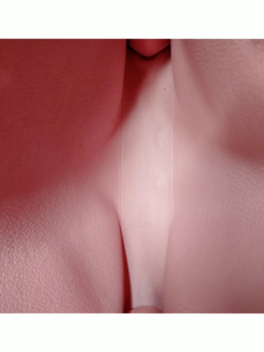 Authentic Louis Vuitton Monogram Jungle Print Pouch Cosmetic Clutch LV - Picture 11 of 16